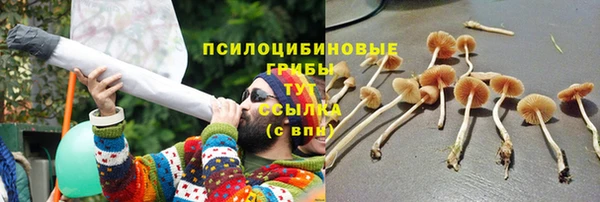 МДПВ Алзамай